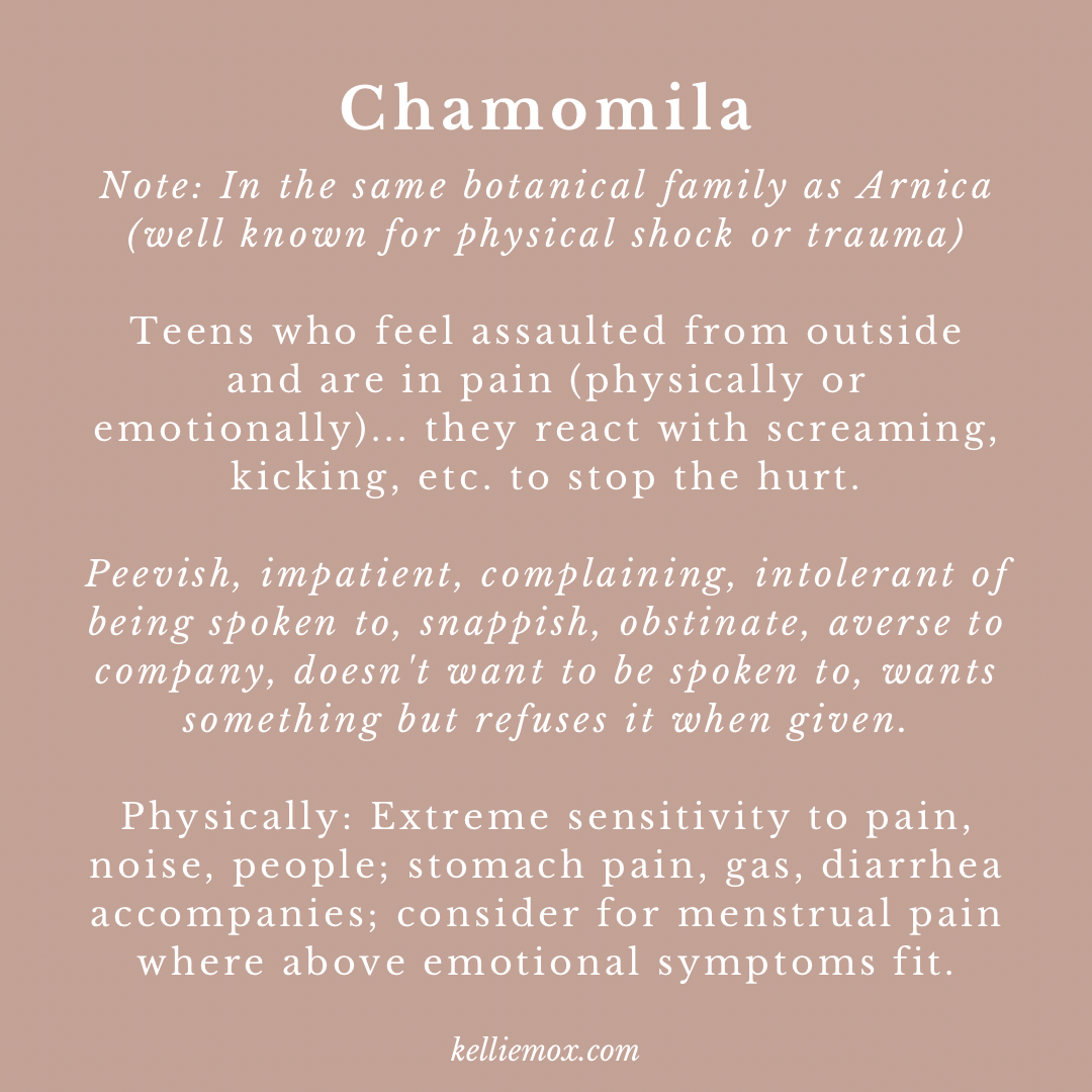 A056232B-11EC-4B31-95A5-4E3CBF30FE06 Information about Chamomila