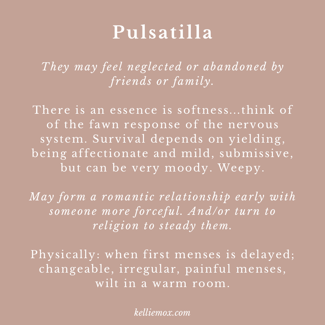 F845C0B9-1C9B-4B00-A593-32D5F58ACBE1 Information about Pulsatilla