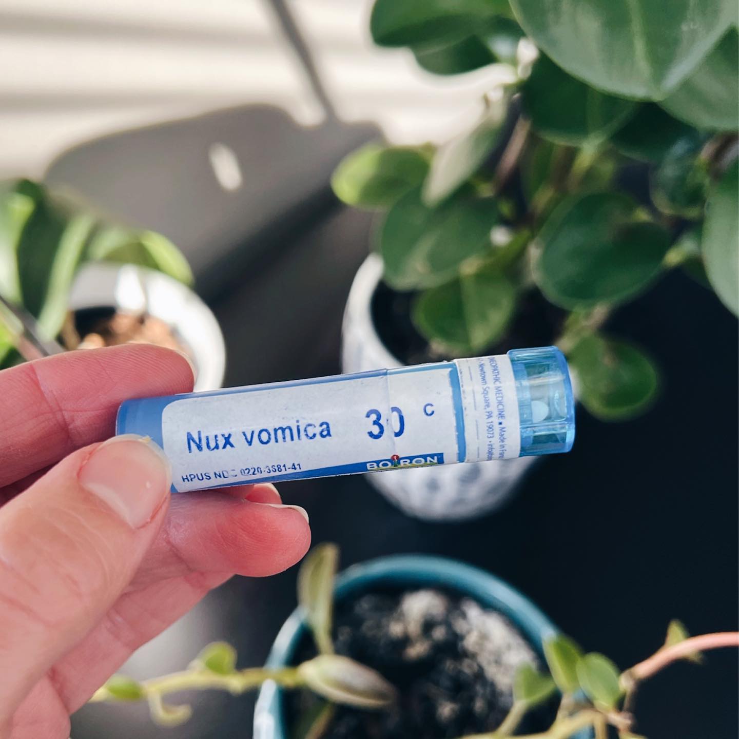A bottle of Nux vomica