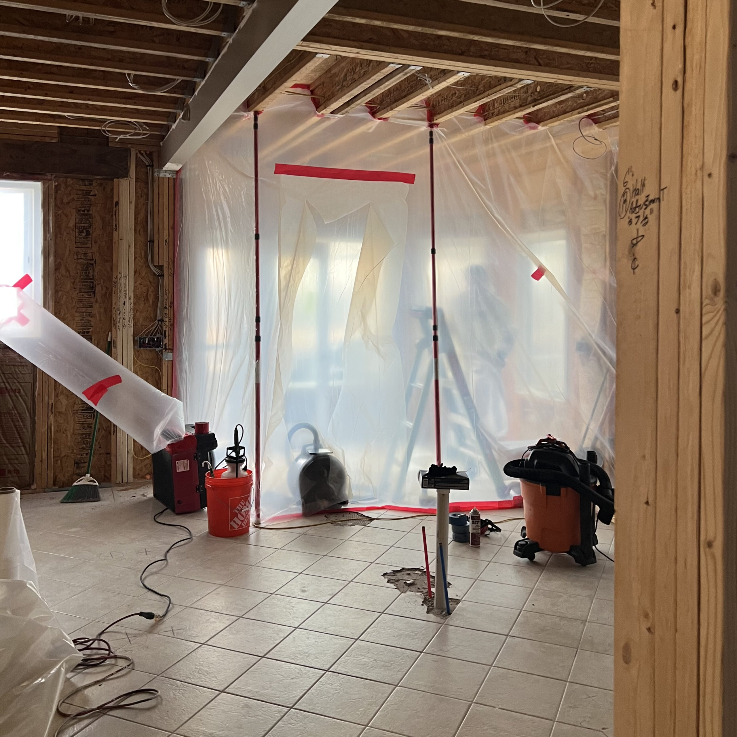 mold remediation