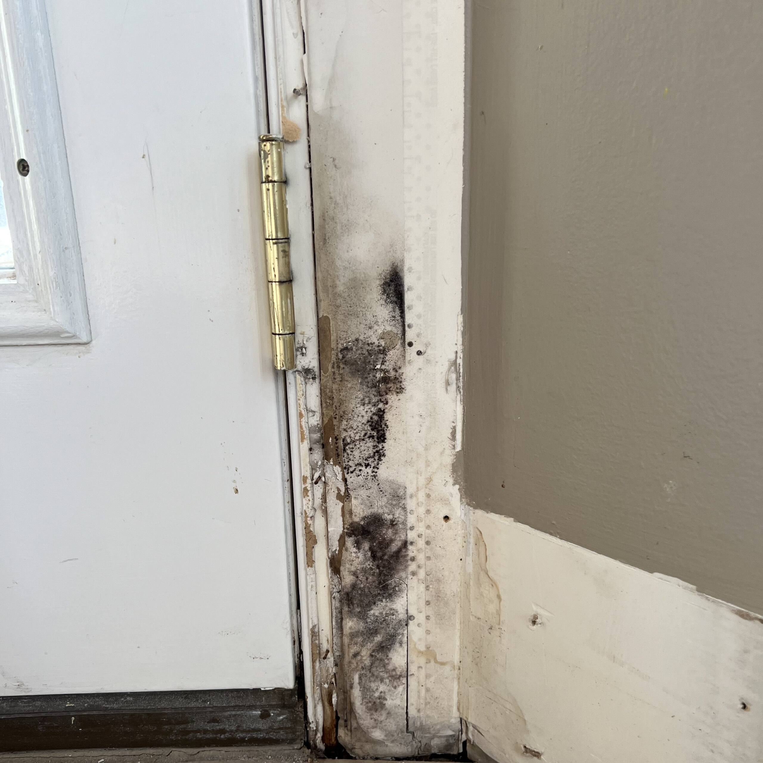 Mold